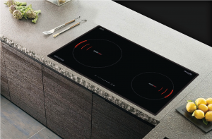 Bếp điện từ 2 bếp